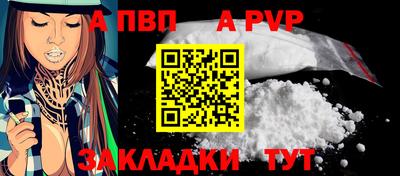 шишки Гай