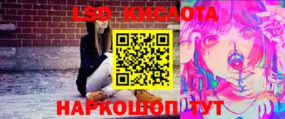 шишки Гай