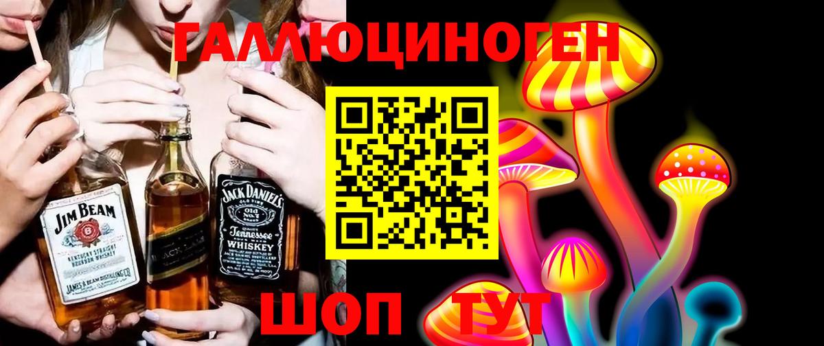 Псилоцибиновые грибы Psilocybe Кандалакша