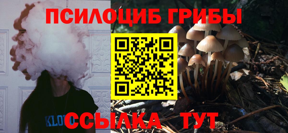 Кандалакша  Псилоцибиновые грибы мухоморы  Вход с VPN 