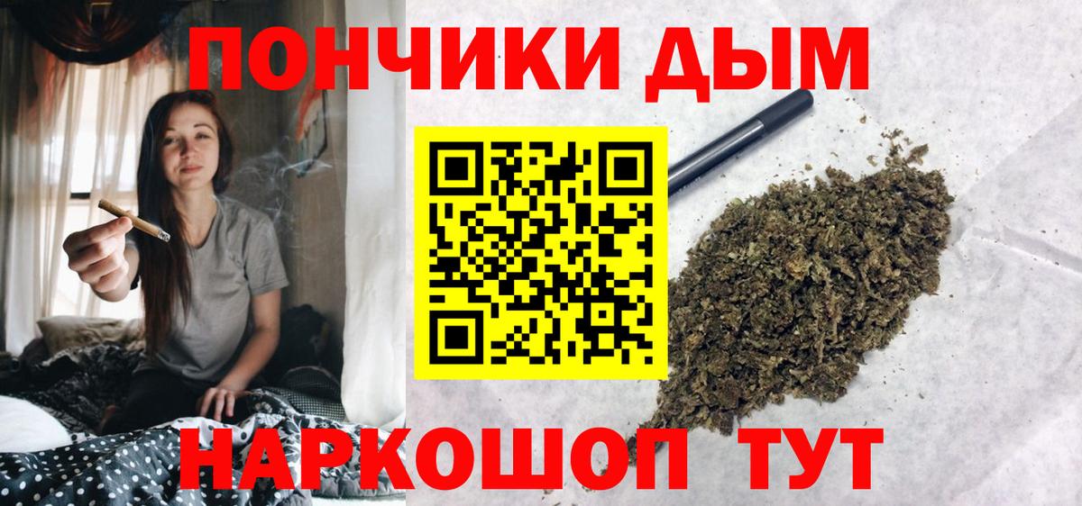 Бошки Шишки MAZAR Кандалакша